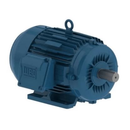 Imagem de MOTOR TRIFASICO BIPOLAR 220/440V 3CV L90L B14T WFF2